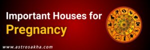 Important houses for pregnancy